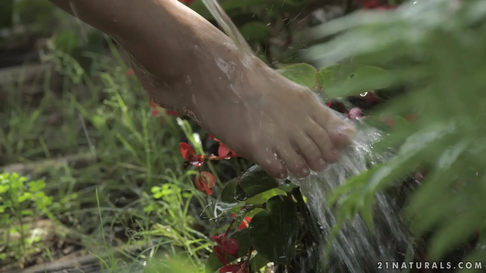 Sweet Gardener
