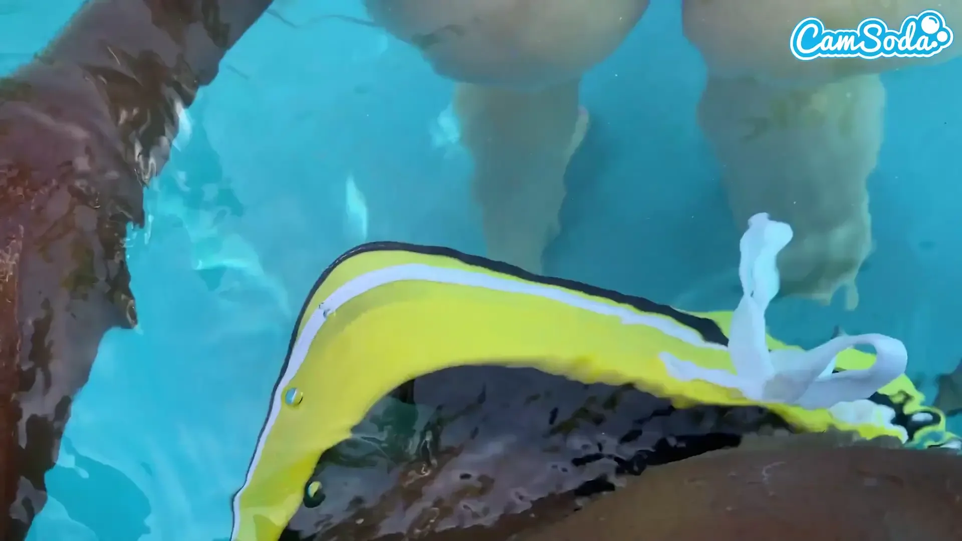 Underwater Sex Amateur Teen Crushed by Bbc Big Black Dick
